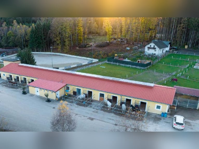 Exklusive Reitsportanlage nahe Salzburg – Top-Infrastruktur auf ca. 5 ha arrondierter Fläche!