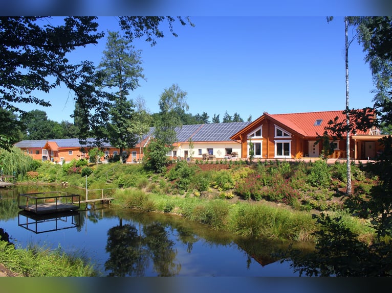 Exklusiver Pferdehof - TOP Ausstattung inkl. Photovoltaikanlage (bisher REHA Zentrum) Niedersachsen Exklusiver Pferdehof - TOP Ausstattung inkl. Photovoltaikanlage (bisher REHA Zentrum) Niedersachsen