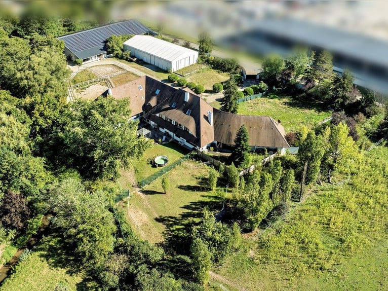 Exklusives Reitanwesen im Rhein-Neckar-Kreis 