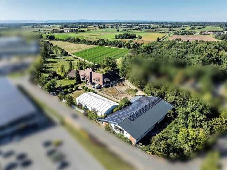 Exklusives Reitanwesen im Rhein-Neckar-Kreis 