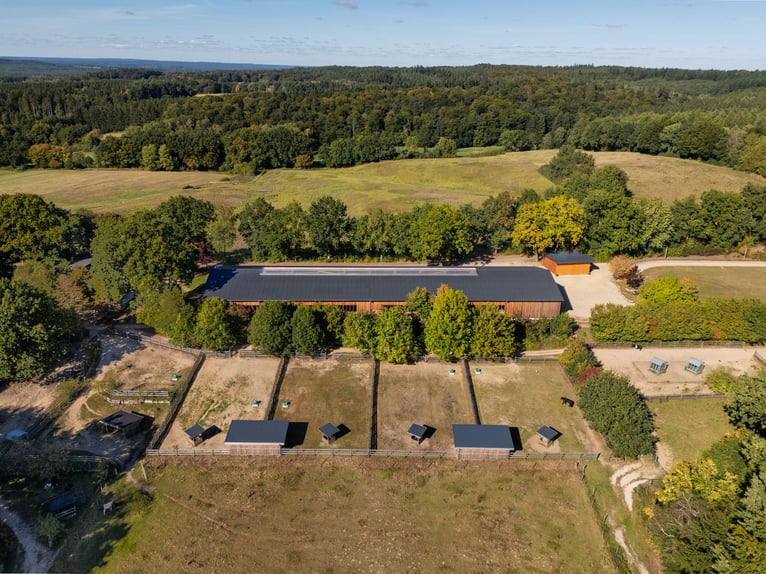 Exklusives Reitsportanwesen nahe Hamburg - 43 Hektar & neue Reithalle!