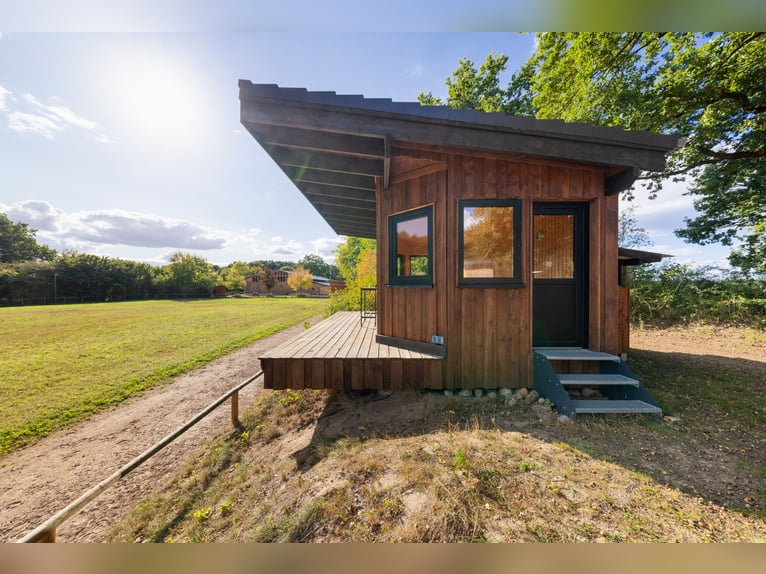 Exklusives Reitsportanwesen nahe Hamburg - 43 Hektar & neue Reithalle!