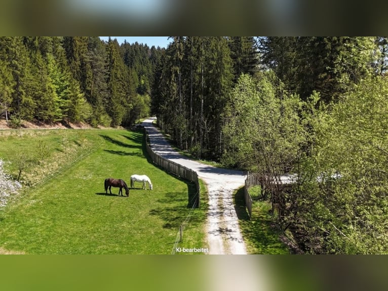 Finca cerca de Birkfeld (Estiria) - Cuidado de caballos para hasta 5 animales, ubicado en la misma p