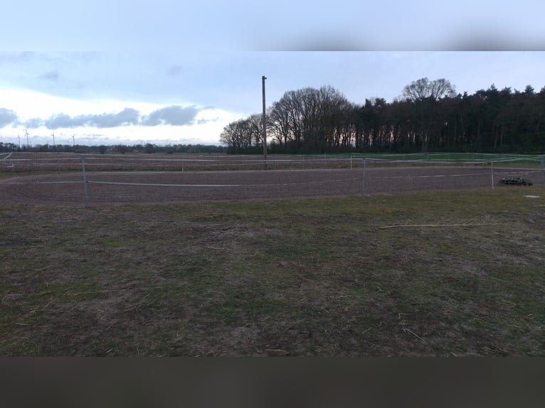 Finca con casa de campo / Edificio multifamiliar / Propiedad para inversión en venta
