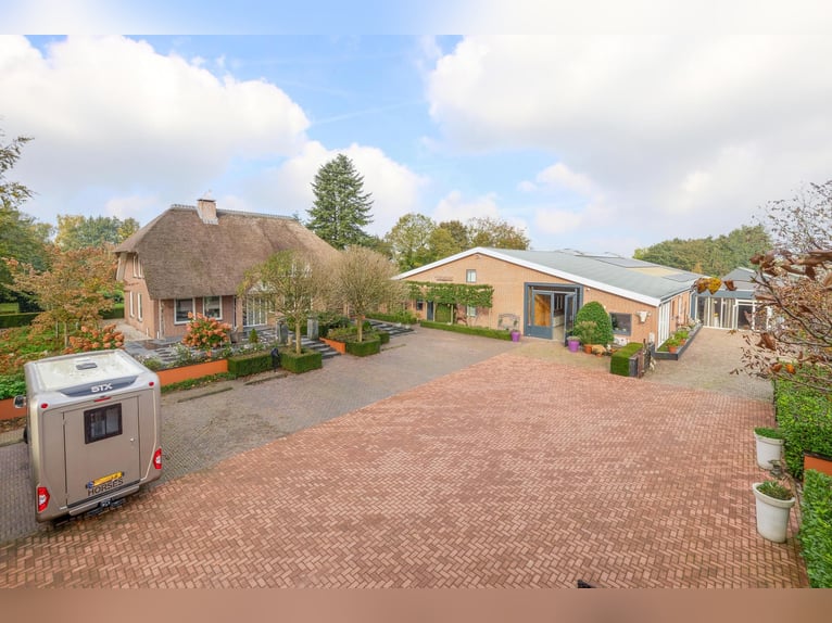 Finca con instalaciones ecuestres profesionales y amplias opciones de vivienda