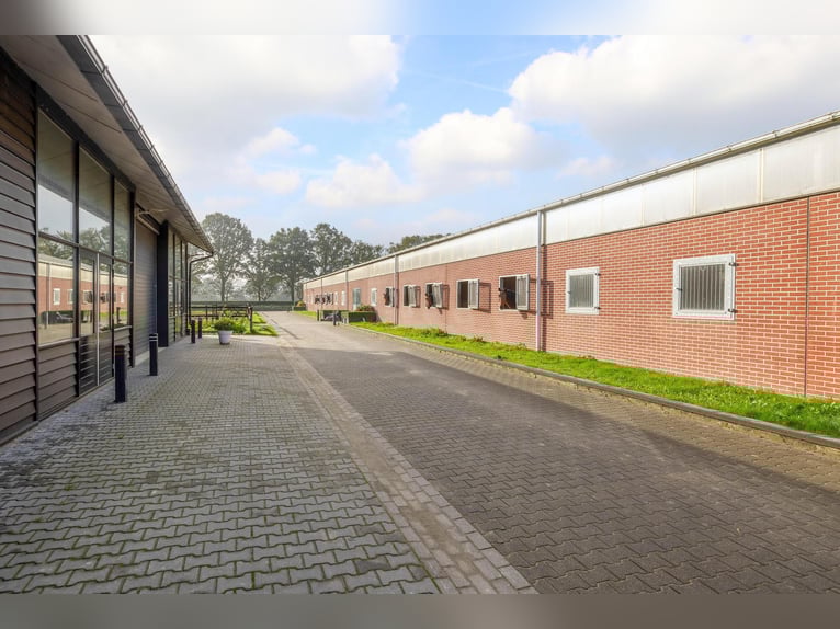 Finca con instalaciones ecuestres profesionales y amplias opciones de vivienda