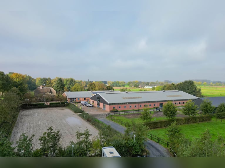 Finca con instalaciones ecuestres profesionales y amplias opciones de vivienda