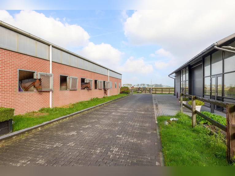 Finca con instalaciones ecuestres profesionales y amplias opciones de vivienda