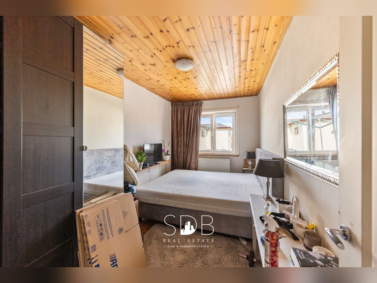 Finca con instalaciones ecuestres y praderas en 14.490 m² en Amberes, Bélgica