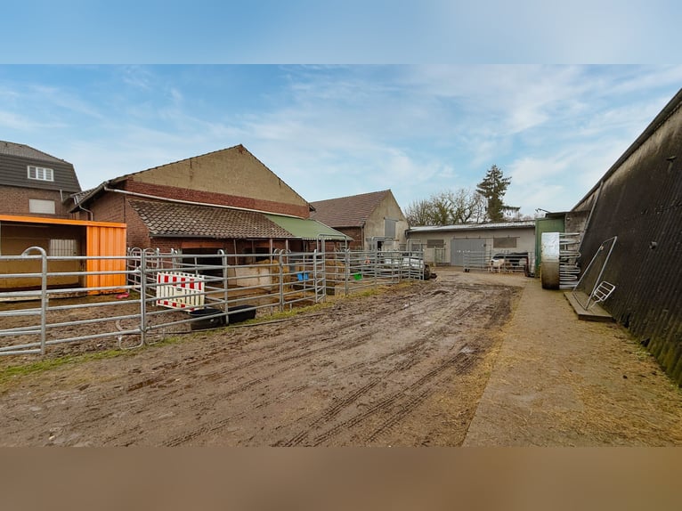 Finca con picadero cubierto, instalaciones de establos y amplias áreas de arrendamiento