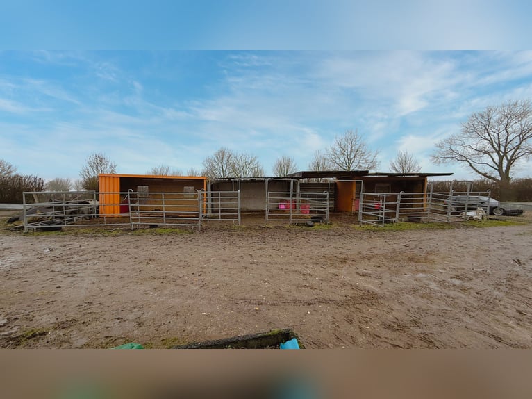 Finca con picadero cubierto, instalaciones de establos y amplias áreas de arrendamiento