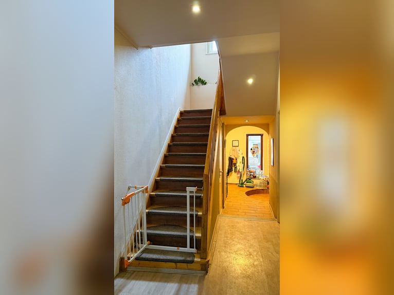 Finca con picadero cubierto, instalaciones de establos y amplias áreas de arrendamiento