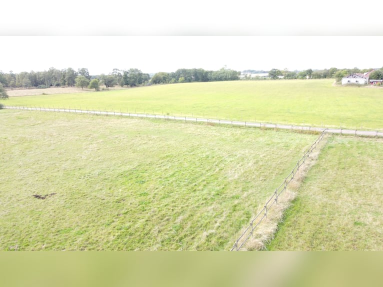 Finca de 33 hectáreas en el sur de Suecia