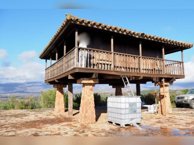 Finca de caza y ganado excepcional.