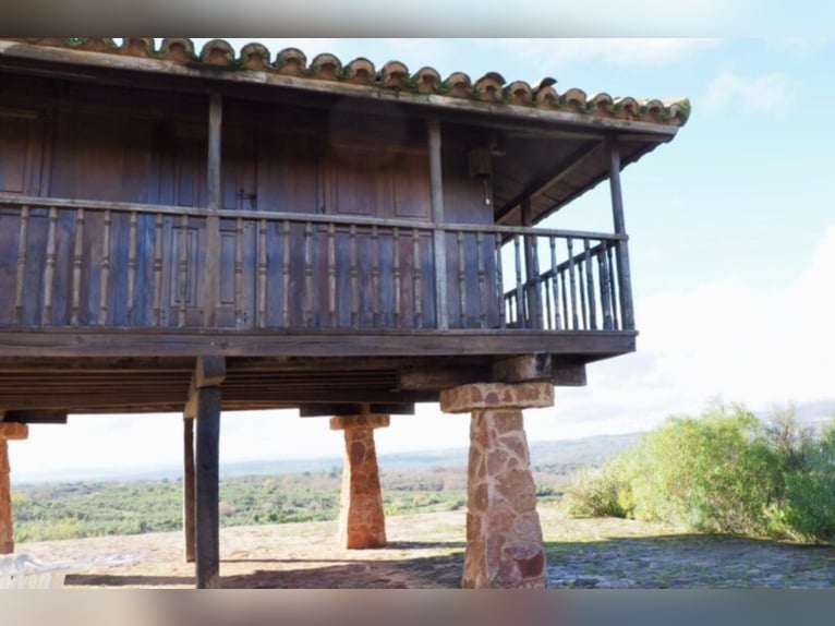 Finca de caza y ganado excepcional.