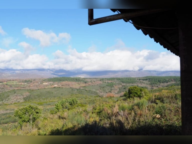 Finca de caza y ganado excepcional.