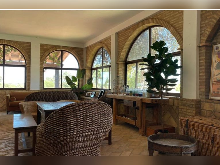 Finca de ensueño de más de 90 hectáreas cerca de Sevilla