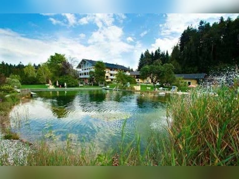 Finca de ensueño en el sur de Carintia con un potencial de desarrollo excepcional