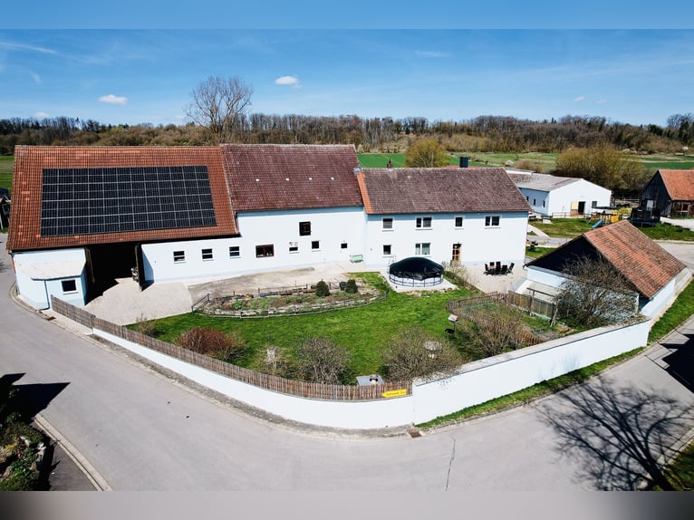 Finca ecuestre con gran casa principal y potencial de desarrollo