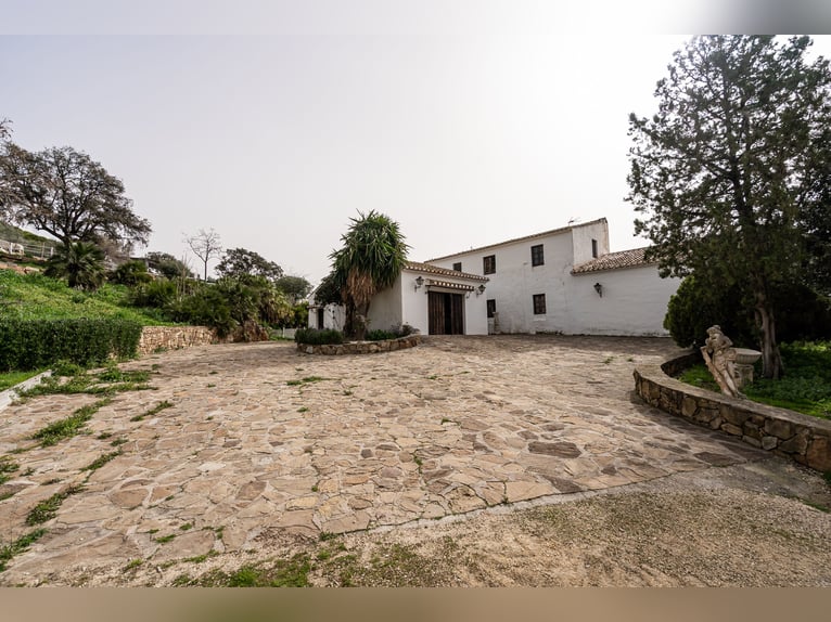 Finca Ecuestre de alto nivel en venta.