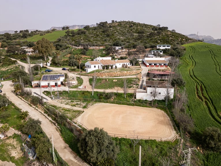 Finca Ecuestre de alto nivel en venta.