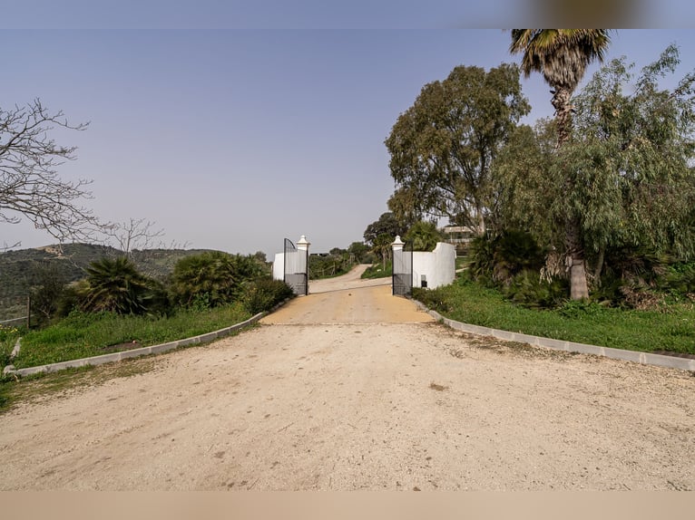 Finca Ecuestre de alto nivel en venta.