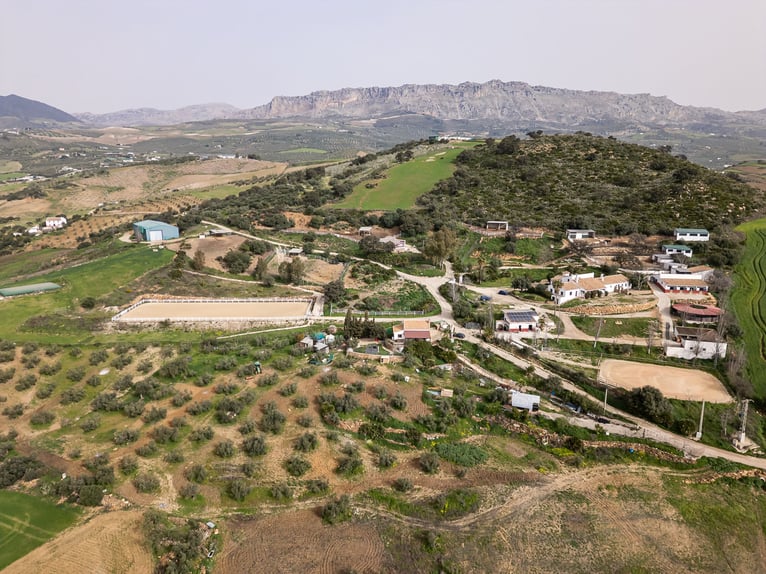 Finca Ecuestre de alto nivel en venta.