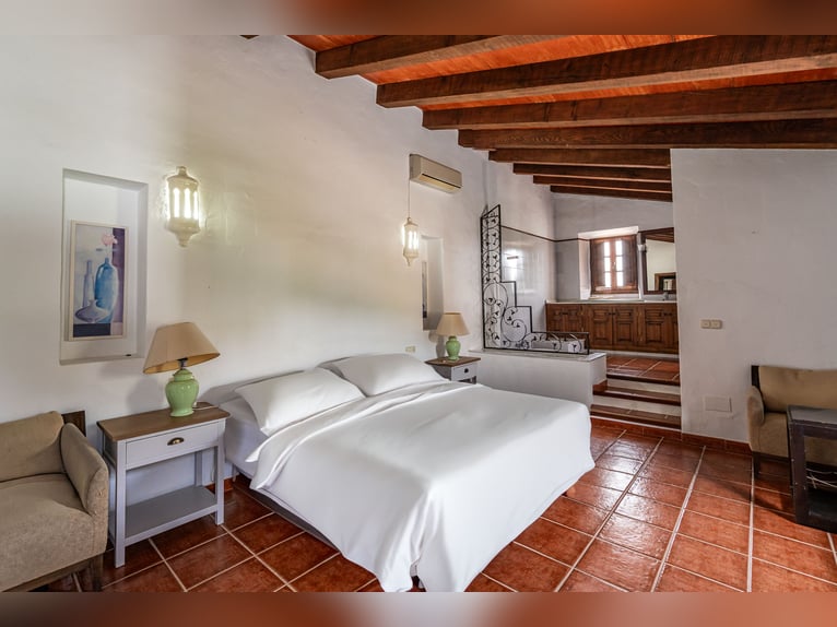 Finca Ecuestre de alto nivel en venta.