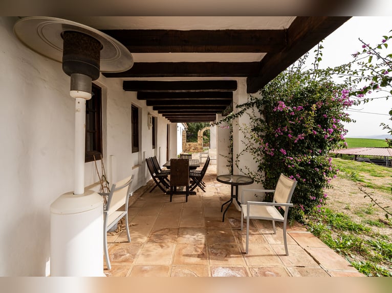 Finca Ecuestre de alto nivel en venta.