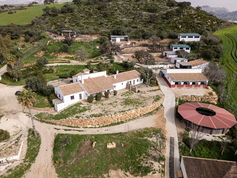 Finca Ecuestre de alto nivel en venta.