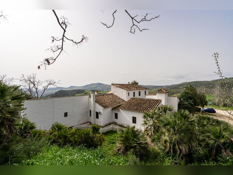 Finca Ecuestre de alto nivel en venta.