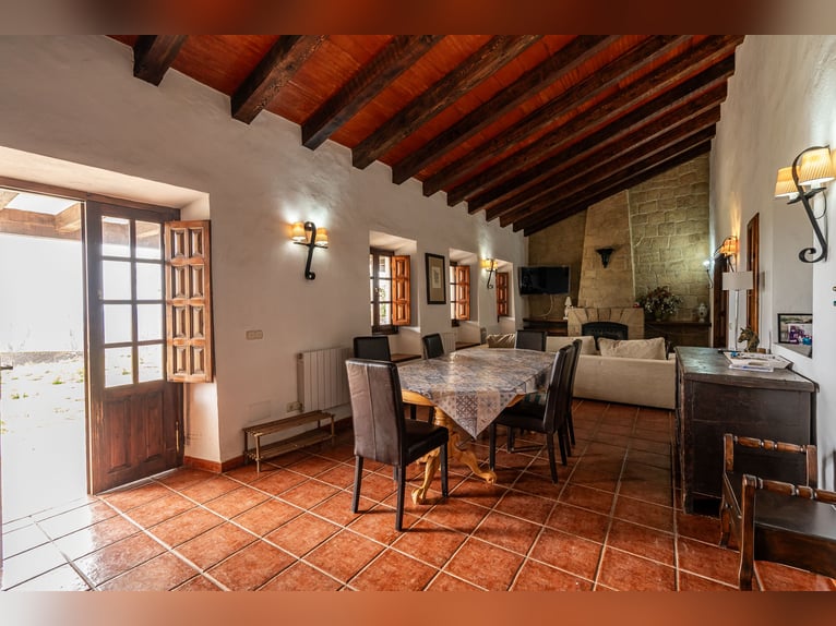 Finca Ecuestre de alto nivel en venta.