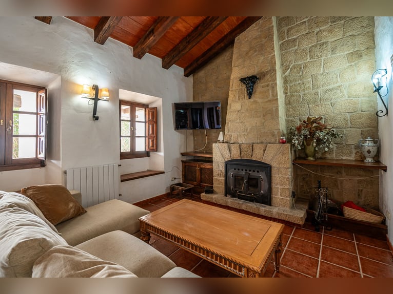 Finca Ecuestre de alto nivel en venta.