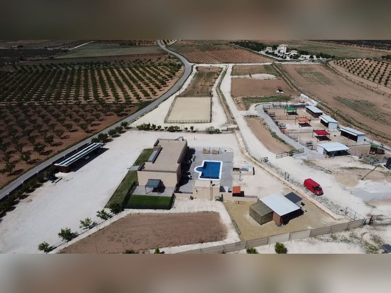 Finca ecuestre de lujo con casa de campo de lujo