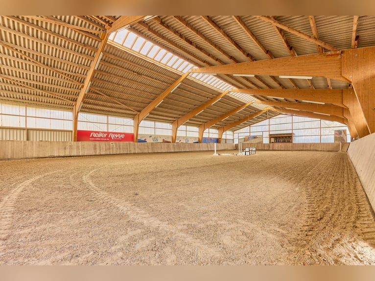 Finca ecuestre en el distrito de Main-Kinzig en venta, en ubicación aislada, a solo una hora en coch