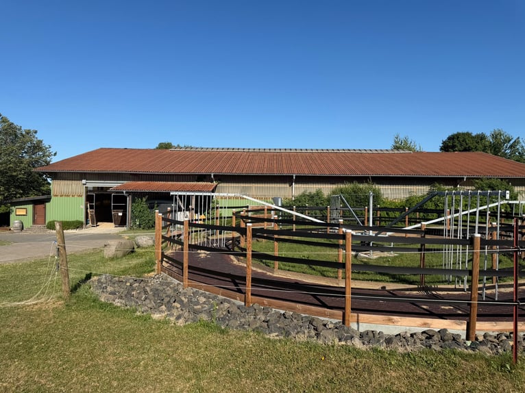 Finca ecuestre en el distrito de Main-Kinzig en venta, en ubicación aislada, a solo una hora en coch
