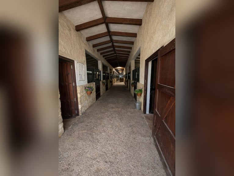 FINCA ECUESTRE EN LA MARINA, ALICANTE PROXIMA A (MET)