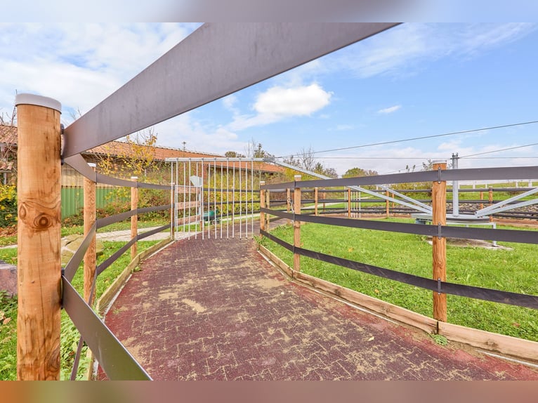 Finca ecuestre en ubicación aislada en el distrito de Main-Kinzig en venta, con una gran casa de cam