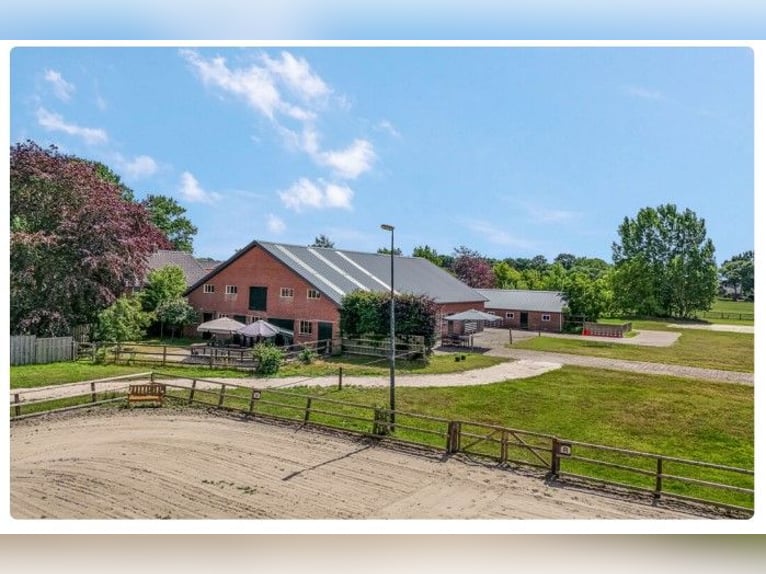 Finca ecuestre idílica en Kootwijkerbroek, Veluwe, en venta