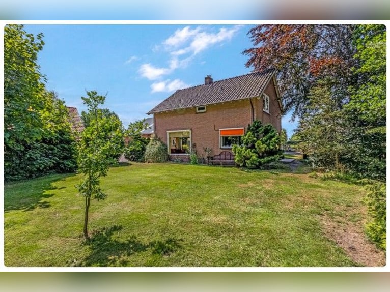 Finca ecuestre idílica en Kootwijkerbroek, Veluwe, en venta