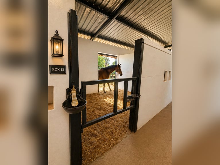 FINCA ECUESTRE JUNTO AL MAR