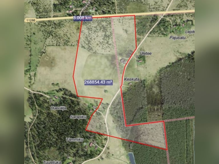 Finca ecuestre privada llave en mano en el norte de Europa: 26,5 ha, caballos y equipamiento incluid