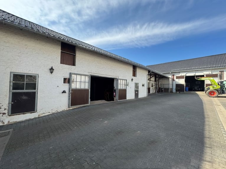 Finca histórica de forma cuadrada con instalaciones ecuestres