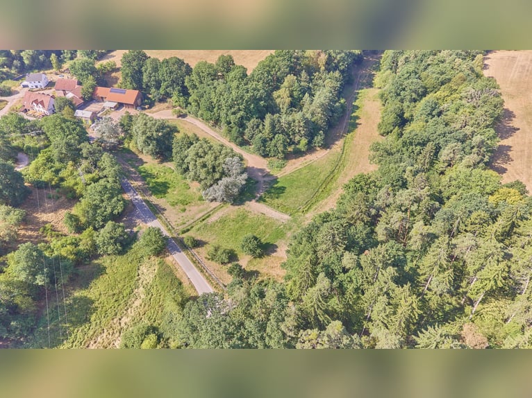 Finca para caballos en Enkenbach-Alsenborn, con casa de vivienda casi nueva en una ubicación idílica