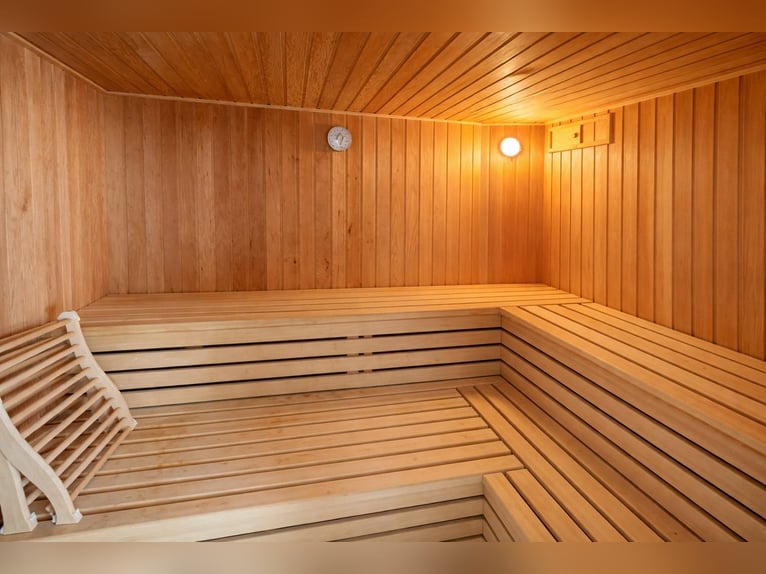 Finca reformada completamente con 3 hectáreas de tierra propia, pista de doma y cobertizo.