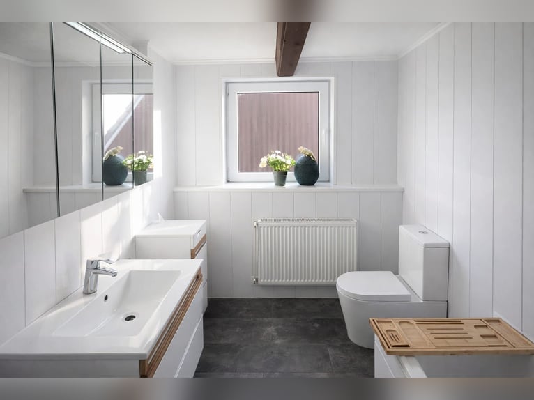 Finca reformada completamente con 3 hectáreas de tierra propia, pista de doma y cobertizo.