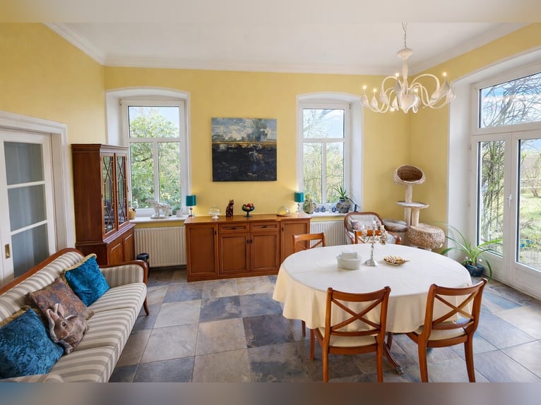 Finca reformada completamente con 3 hectáreas de tierra propia, pista de doma y cobertizo.