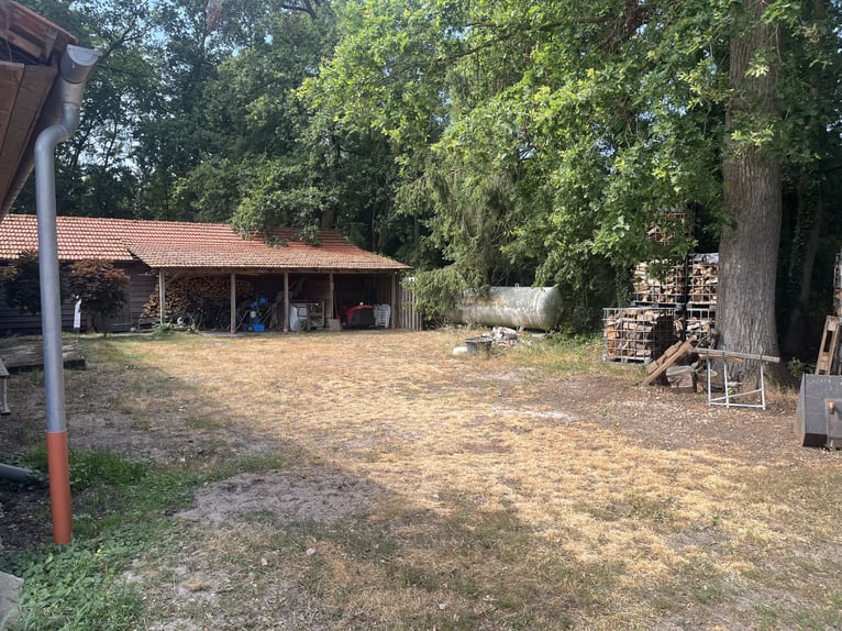 Finca restaurada con instalaciones para caballos y apartamento independiente