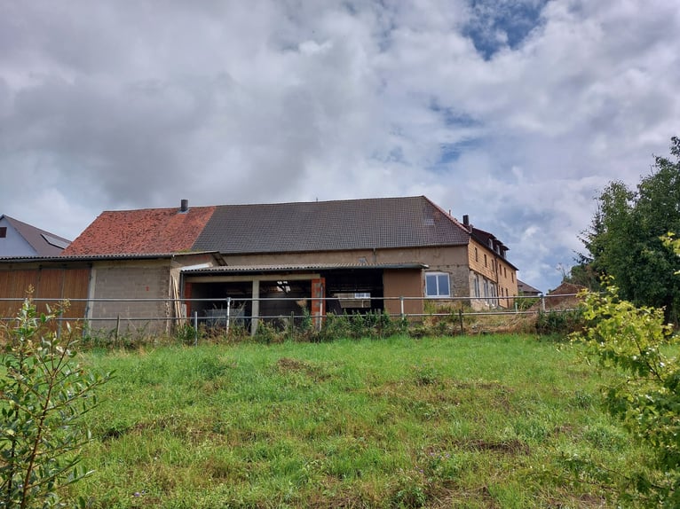 Finca única con potencial de desarrollo: combina vivienda, trabajo y cuidado de caballos o animales