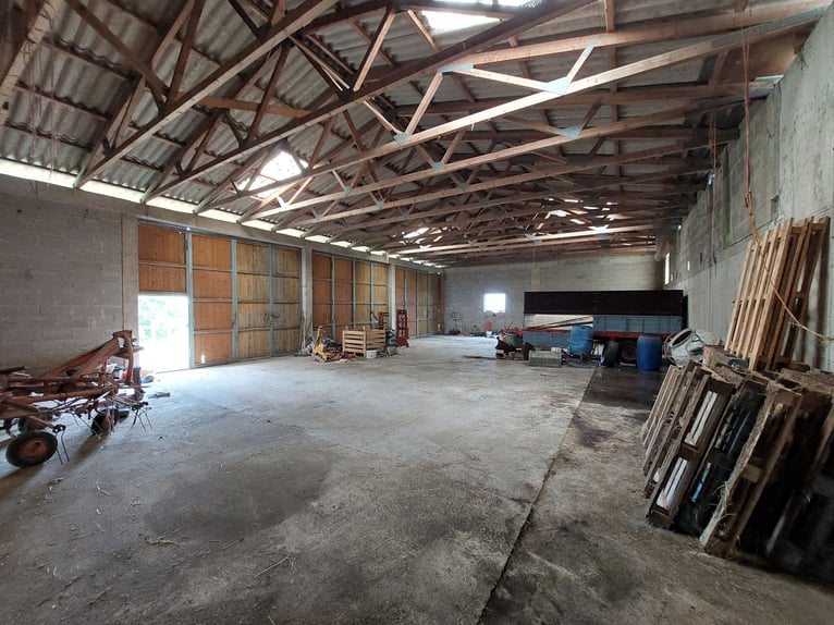 Finca única con potencial de desarrollo: combina vivienda, trabajo y cuidado de caballos o animales